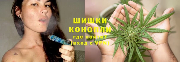 хмурый Тайга