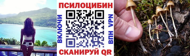 Галлюциногенные грибы GOLDEN TEACHER  Вышний Волочёк 